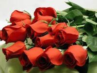 Flowers.