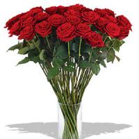 Flowers.
